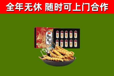 那曲市回收冬虫夏草价格